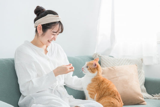 猫がカリカリを食べない！おやつは食べるのは病気？原因と対策