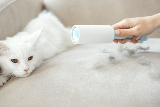 猫の毛を洗濯機で取る裏ワザ｜服の毛対策とおすすめドラム式