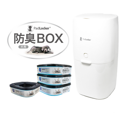 「ニオわない、汚れない、簡単かわいい♡ – パッドロッカーで叶えるクリーンライフ」