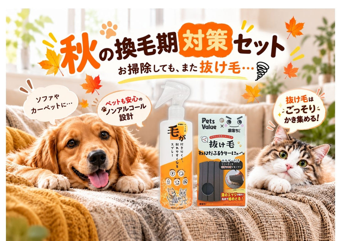 秋の抜け毛対策セット