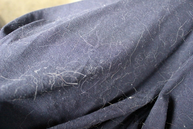 猫の毛がつきにくい素材一覧｜服・家具の選び方と掃除・洗濯のコツ