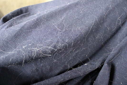 猫の毛がつきにくい素材一覧｜服・家具の選び方と掃除・洗濯のコツ