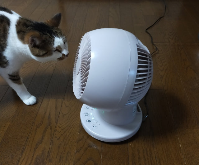 猫の暑さ対策はエアコンが必須！夏の留守番も安心な温度設定と電気代
