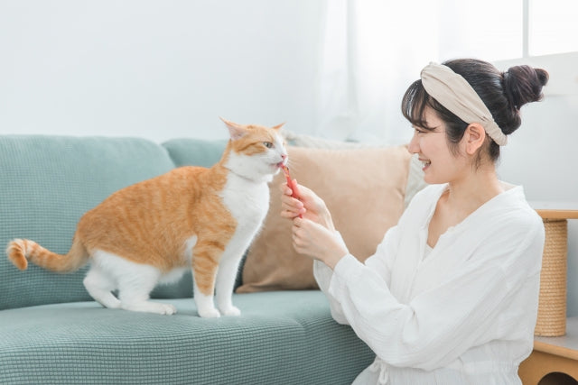 猫におやつをあげないのは大丈夫？いらない理由と愛情の伝え方