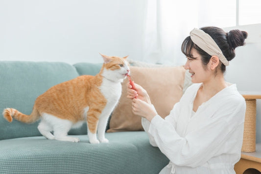 猫におやつをあげないのは大丈夫？いらない理由と愛情の伝え方
