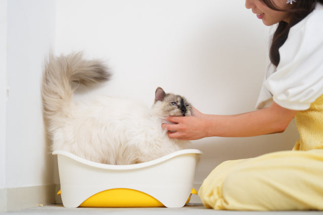 猫のシステムトイレが臭い原因と対策｜ニオイを元から消す消臭術