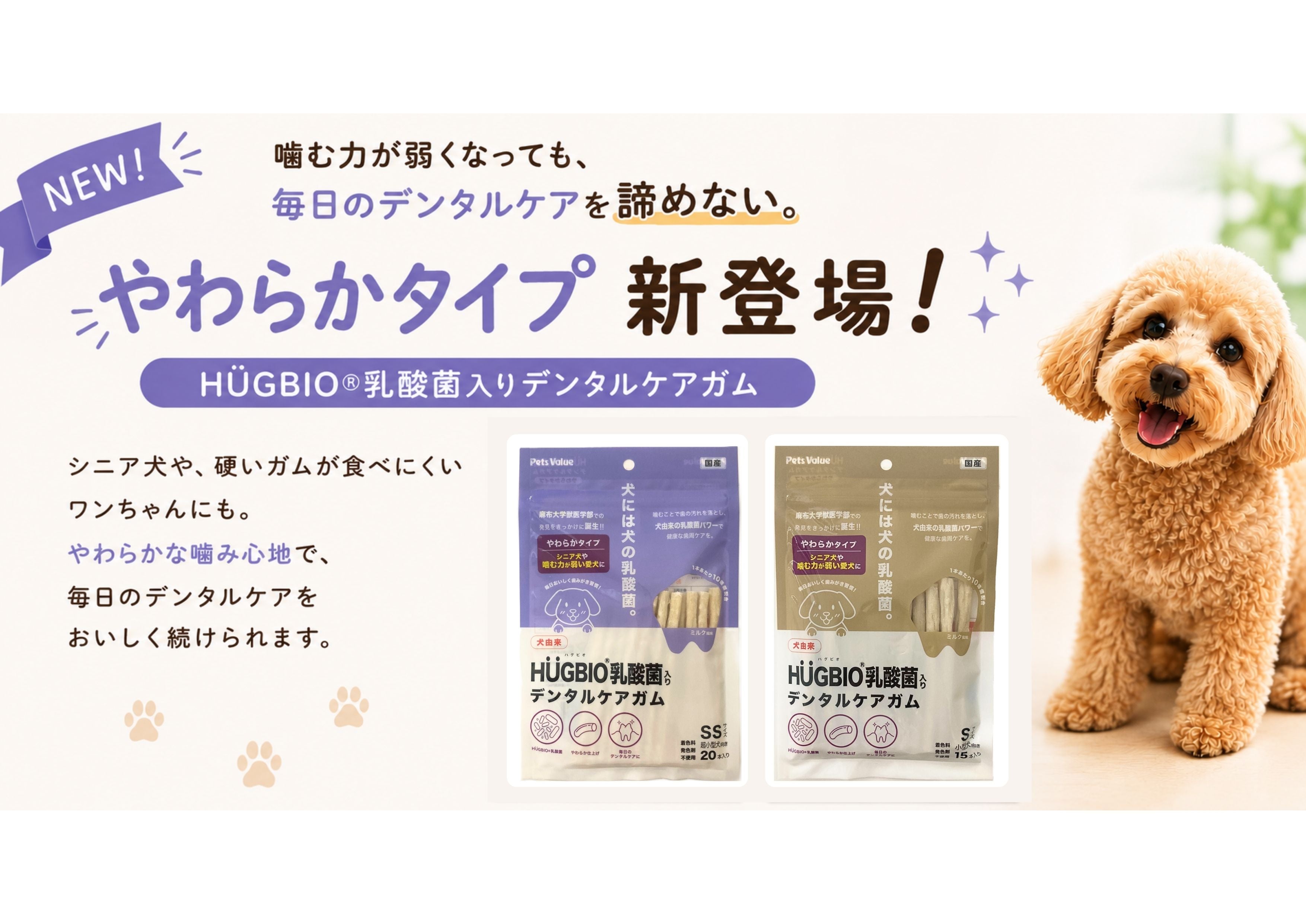 HÜGBIO®乳酸菌入りデンタルケアガムに「やわらかタイプ」新登場