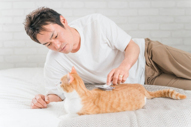 洗濯物の猫の毛をごっそり取る！服につく毛の悩み解消対策