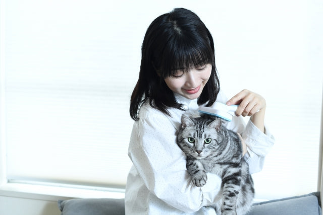 猫の夏の抜け毛対策｜多い毛の掃除術と病気の見分け方を解説