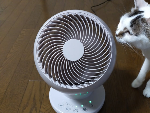 猫の部屋の湿気対策｜湿気に弱い愛猫を守る安全な除湿・防カビ術