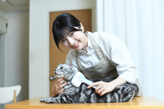 服についた猫の毛の簡単な取り方｜洗濯の裏ワザから予防対策まで