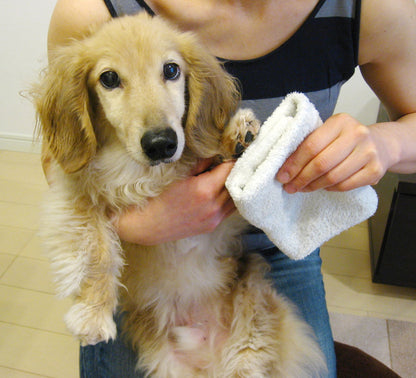 ソイエスト　本体 400ml＋付替用 400ml　セット