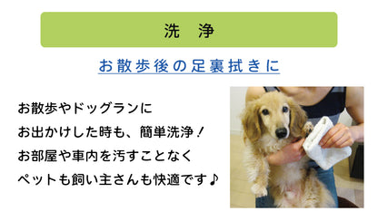 ソイエスト　本体 400ml＋付替用 400ml　セット