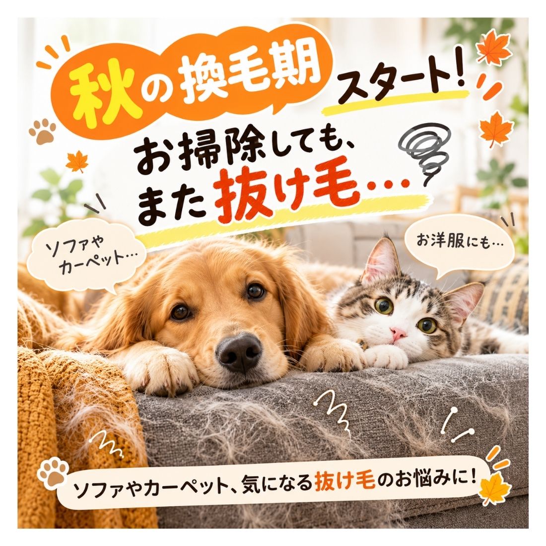 秋の換毛期対策セット