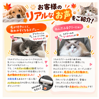 秋の換毛期対策セット