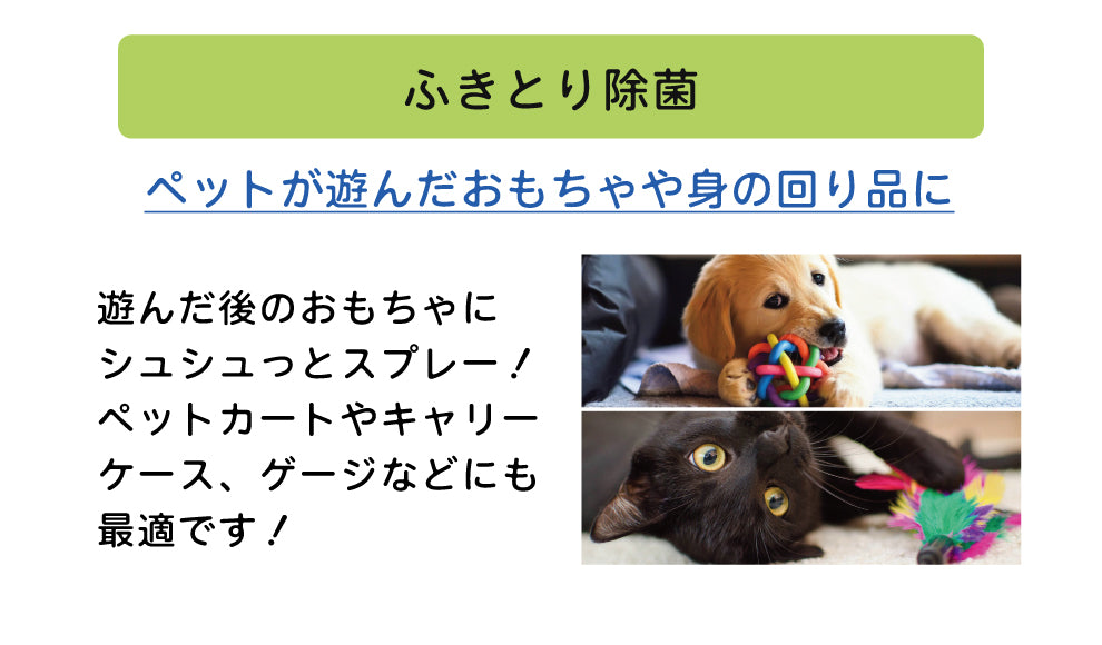 ソイエスト　本体 400ml＋付替用 400ml　セット