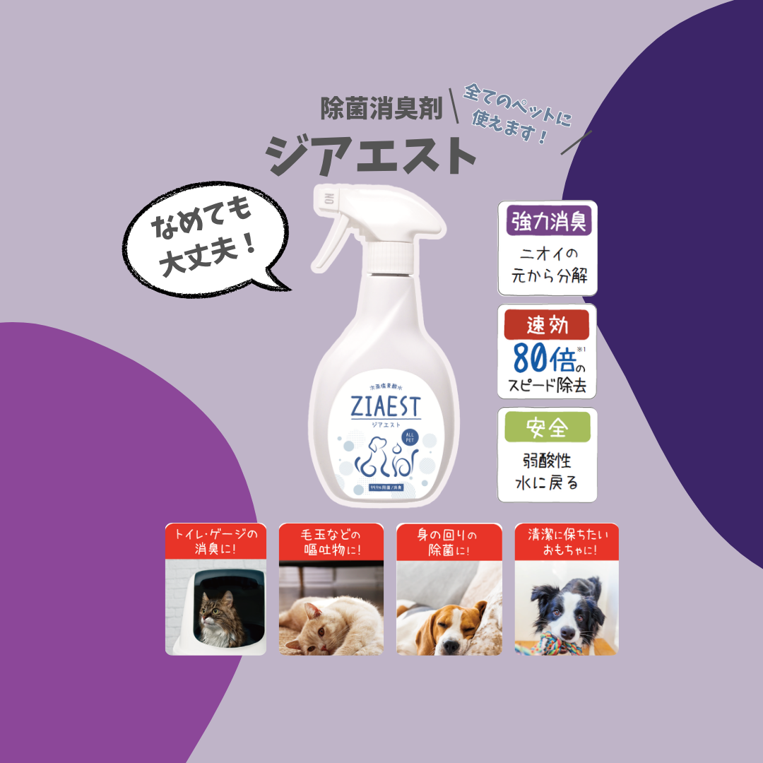 夏を快適に！衛生対策セット～猫ちゃんＶｅｒ～