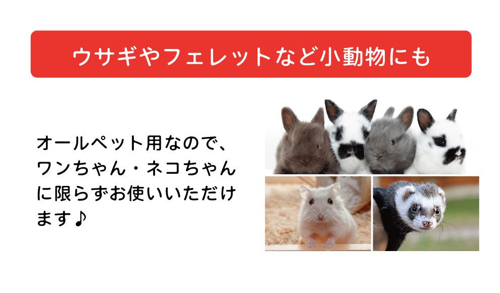 ソイエスト　付替用 400ml 2個セット