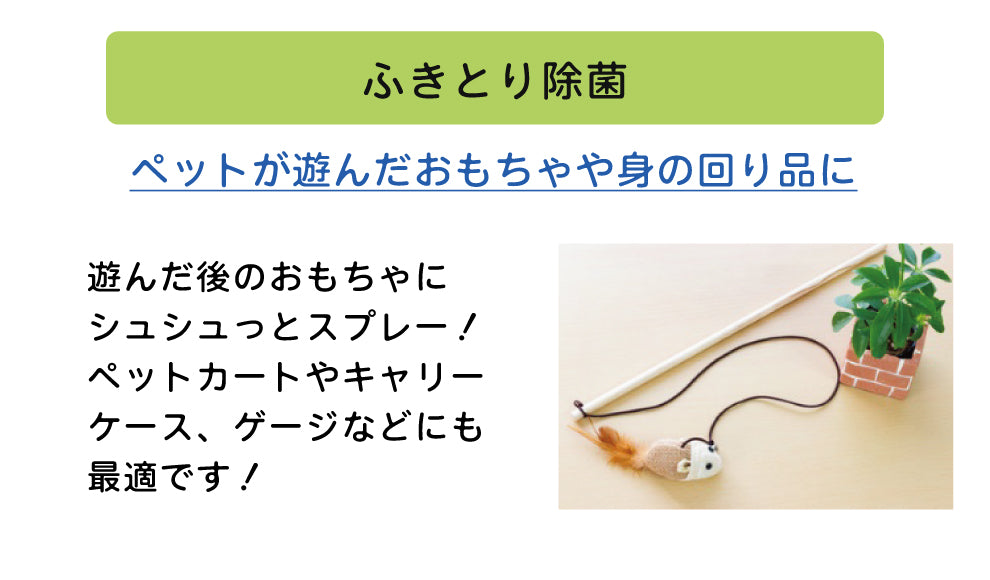 ソイエスト　本体 400ml