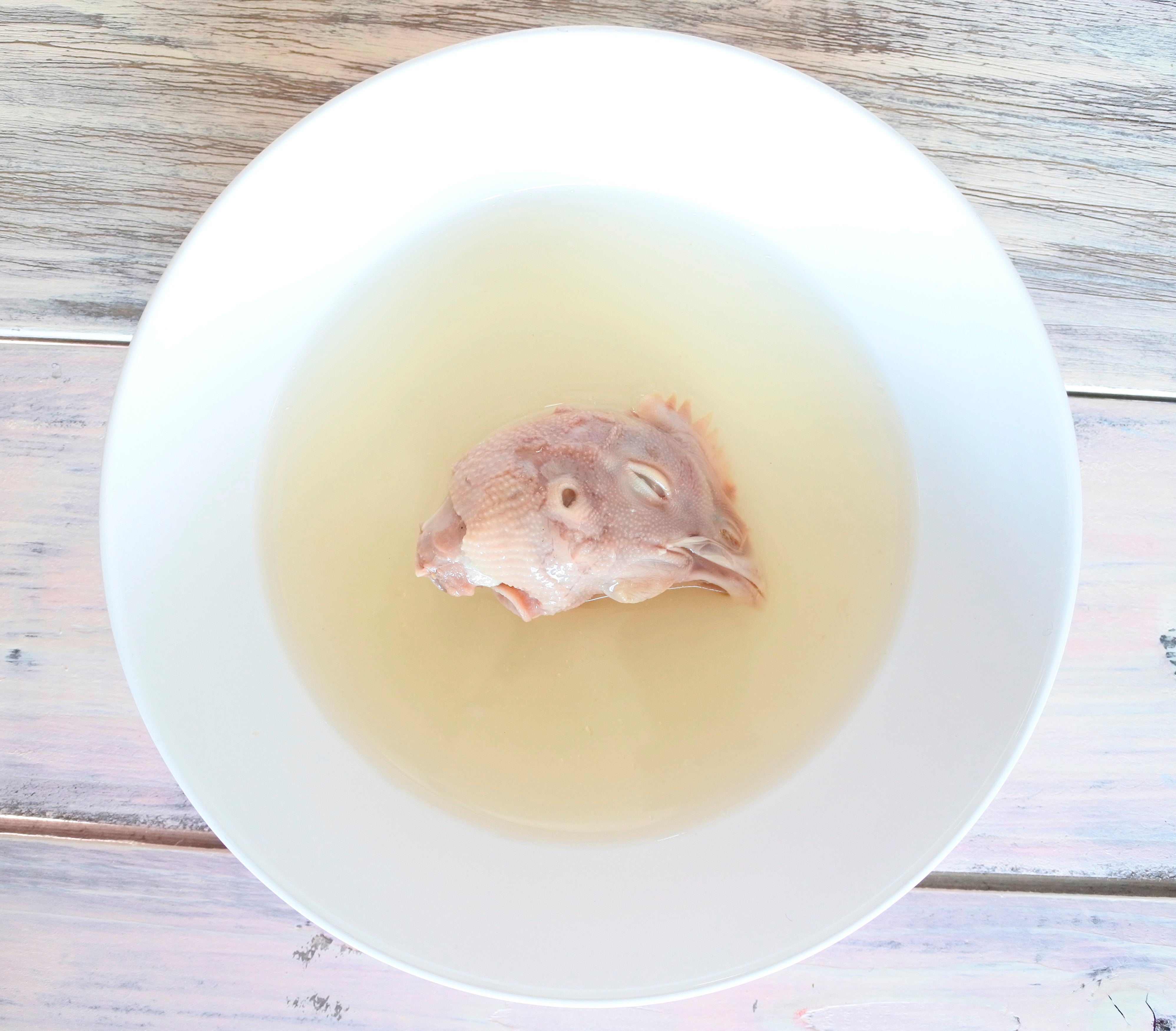 鶏頭缶 水煮 – PETPET online
