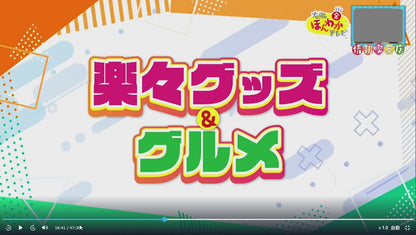 毛が付きにくく取れやすくなるスプレー 300g+付替えボトル+わんだふるクリーにゃーセット